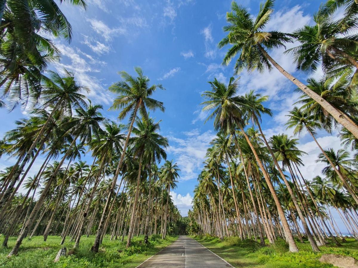 Coleto Siargao Bed and Breakfast San Isidro  Exteriör bild