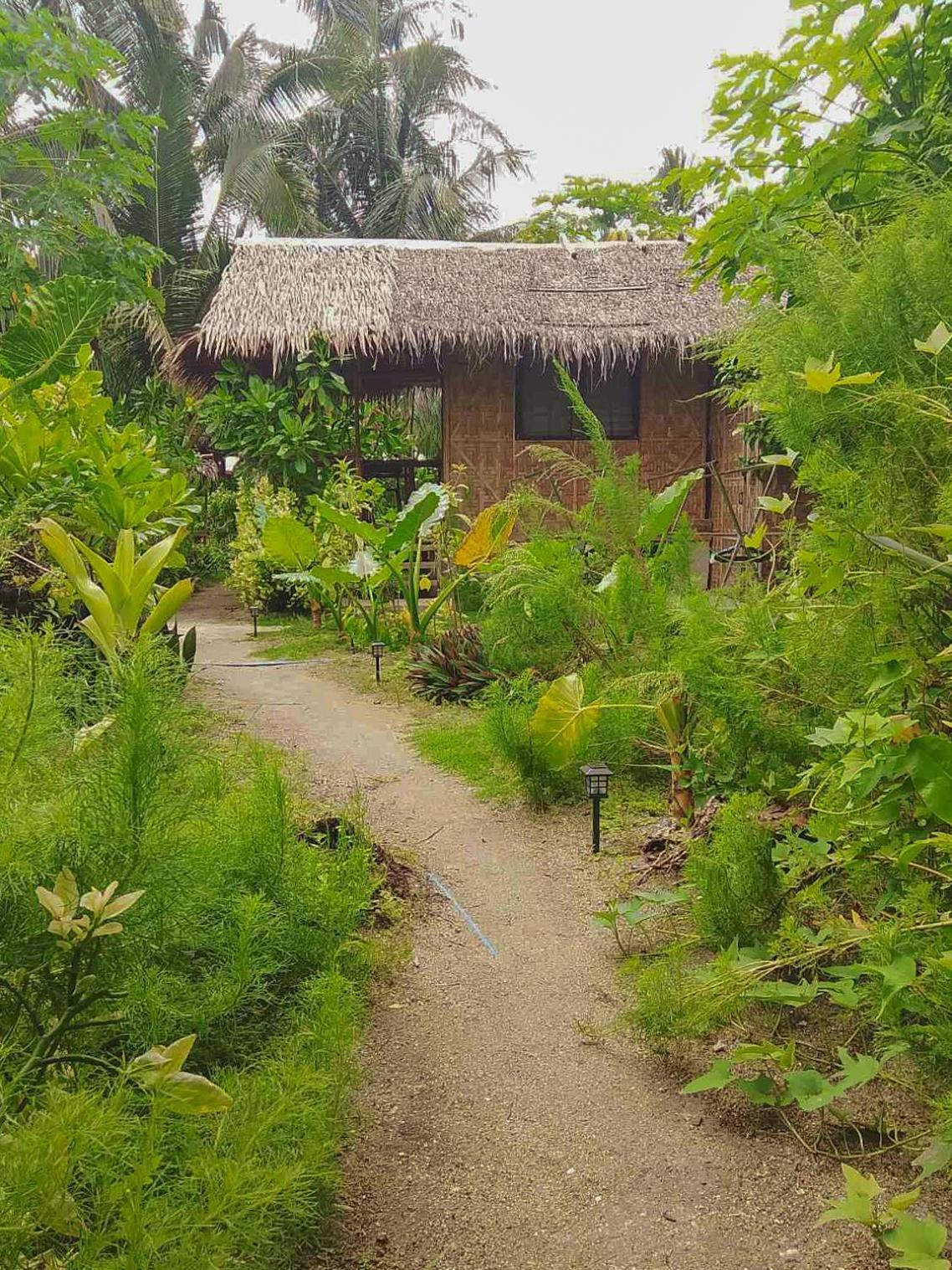 Coleto Siargao Bed and Breakfast San Isidro  Exteriör bild