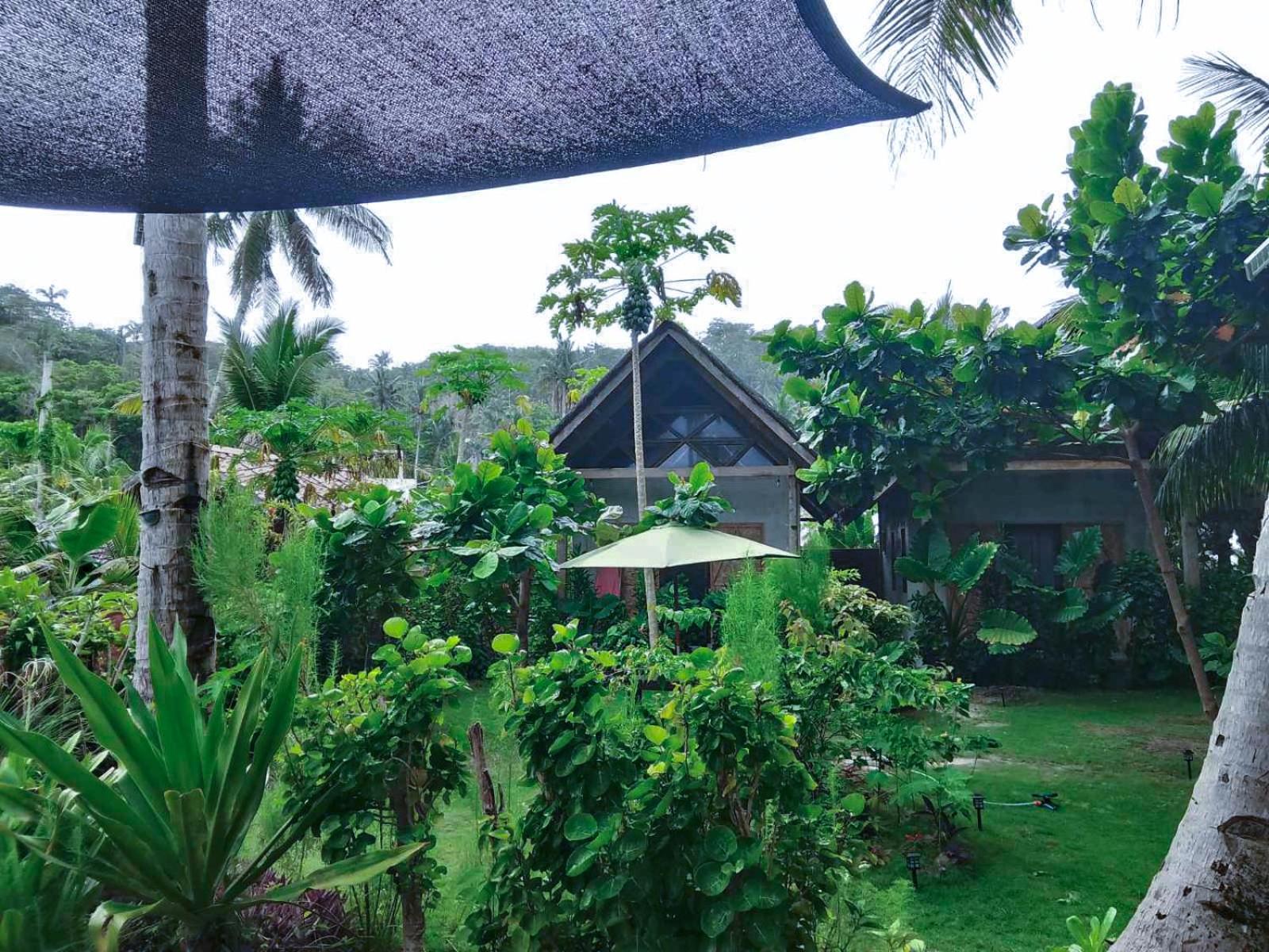 Coleto Siargao Bed and Breakfast San Isidro  Exteriör bild