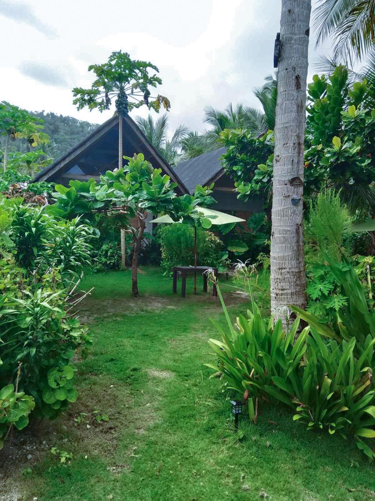 Coleto Siargao Bed and Breakfast San Isidro  Exteriör bild