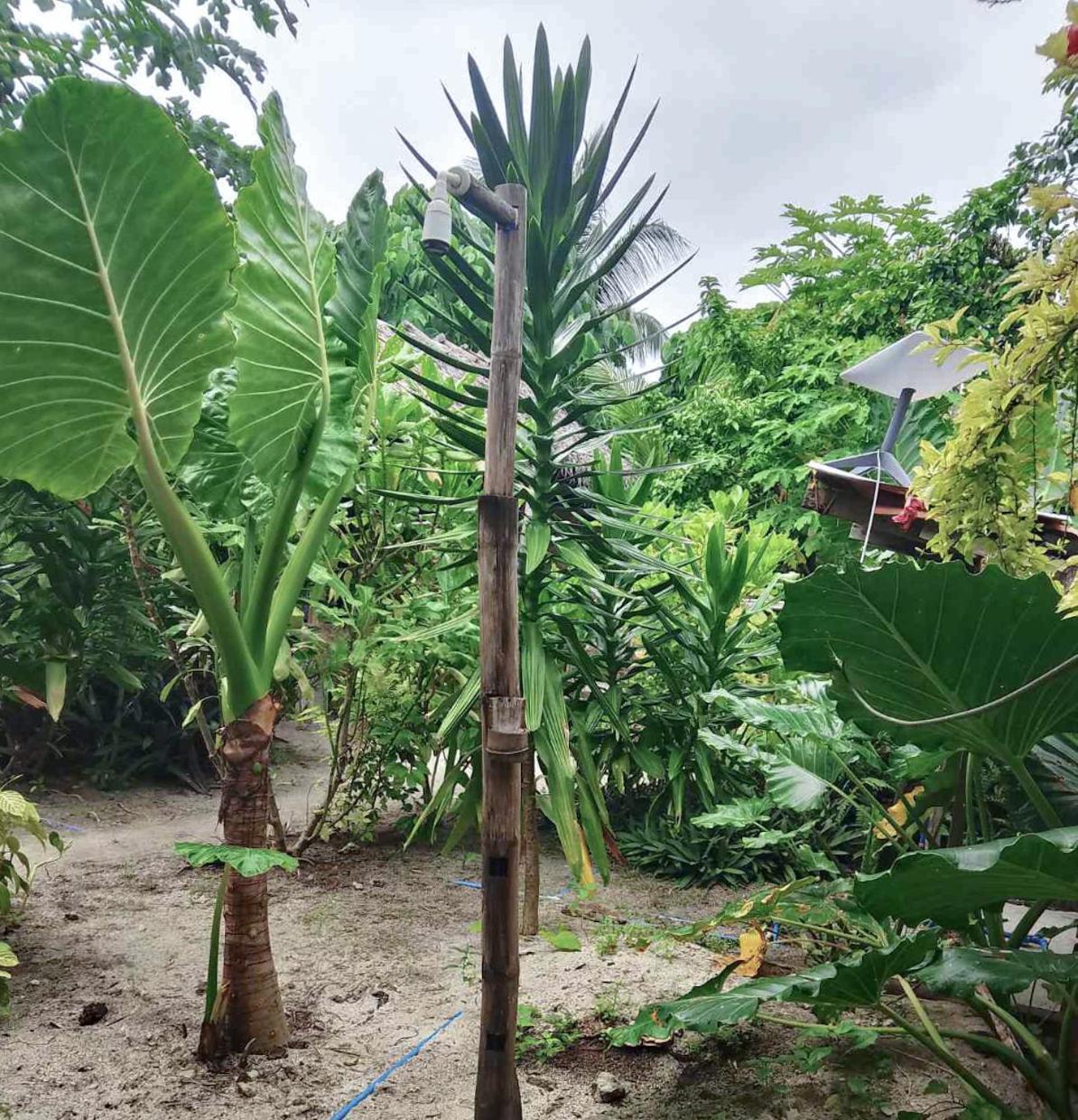 Coleto Siargao Bed and Breakfast San Isidro  Exteriör bild