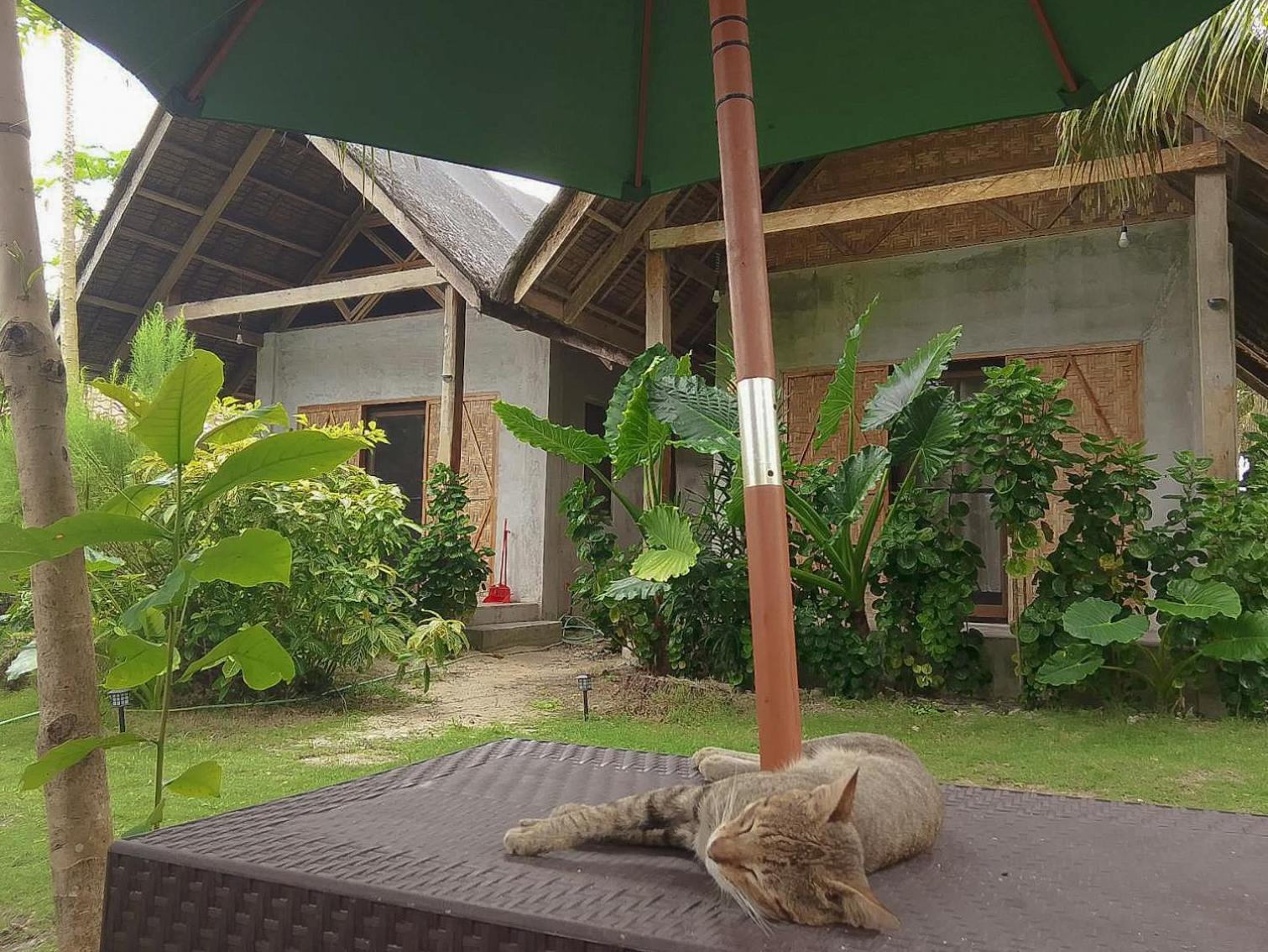 Coleto Siargao Bed and Breakfast San Isidro  Exteriör bild
