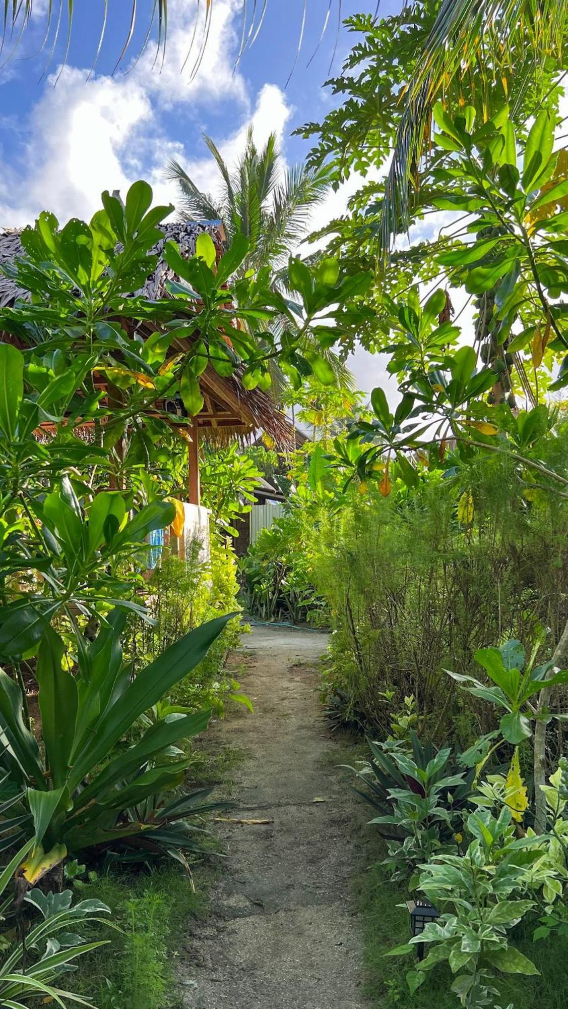 Coleto Siargao Bed and Breakfast San Isidro  Exteriör bild