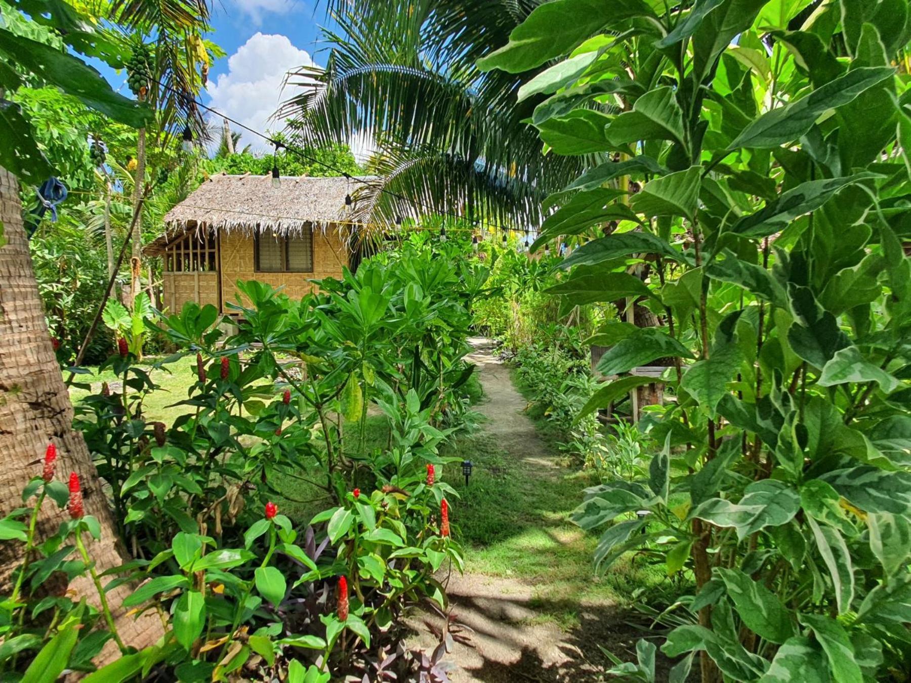 Coleto Siargao Bed and Breakfast San Isidro  Exteriör bild