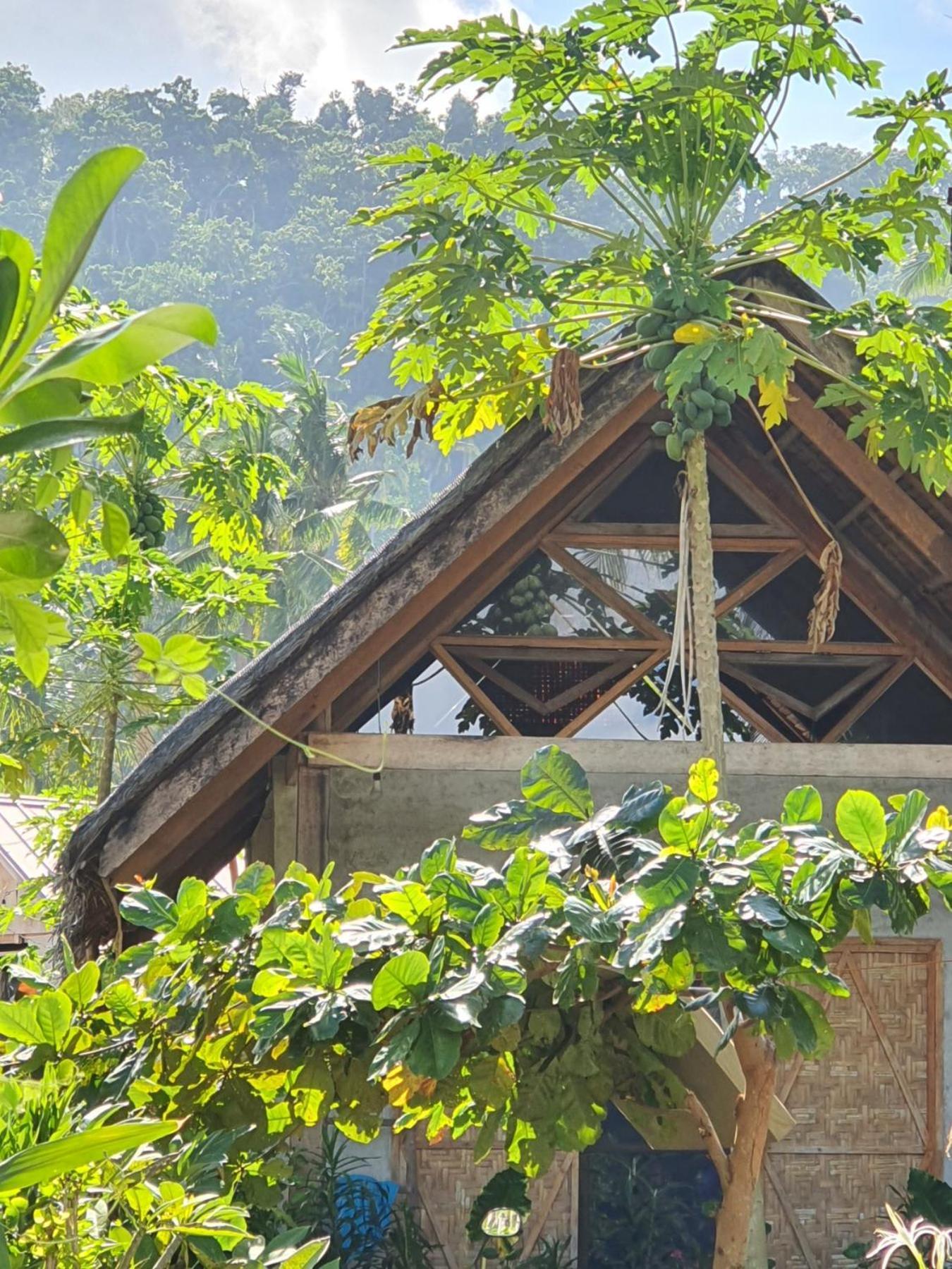 Coleto Siargao Bed and Breakfast San Isidro  Exteriör bild