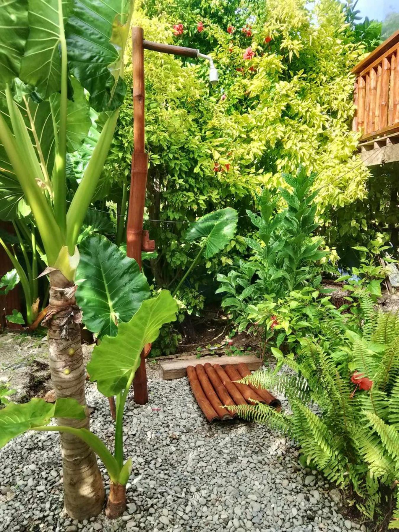 Coleto Siargao Bed and Breakfast San Isidro  Exteriör bild