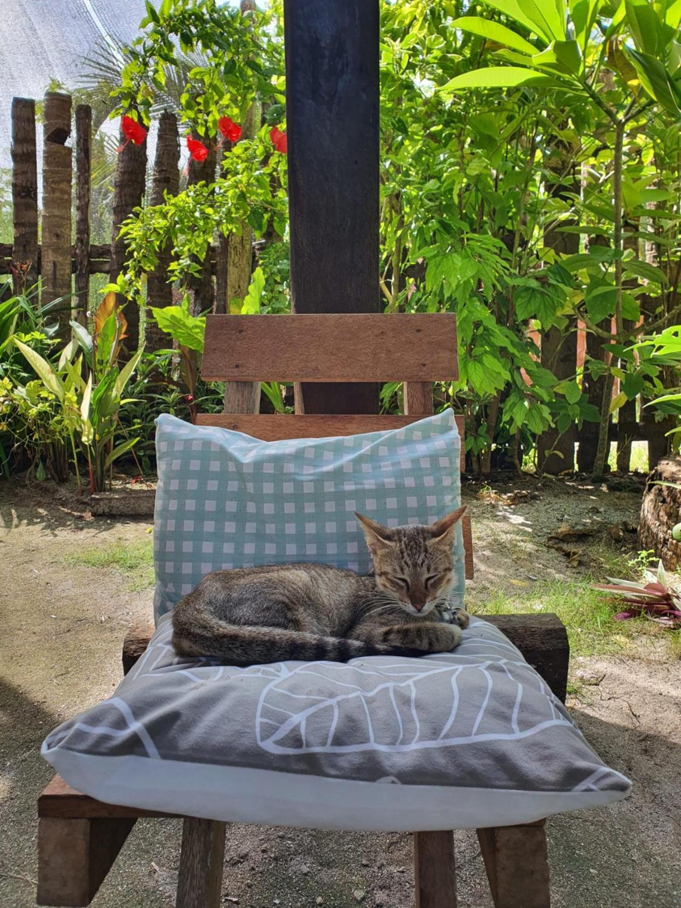 Coleto Siargao Bed and Breakfast San Isidro  Exteriör bild