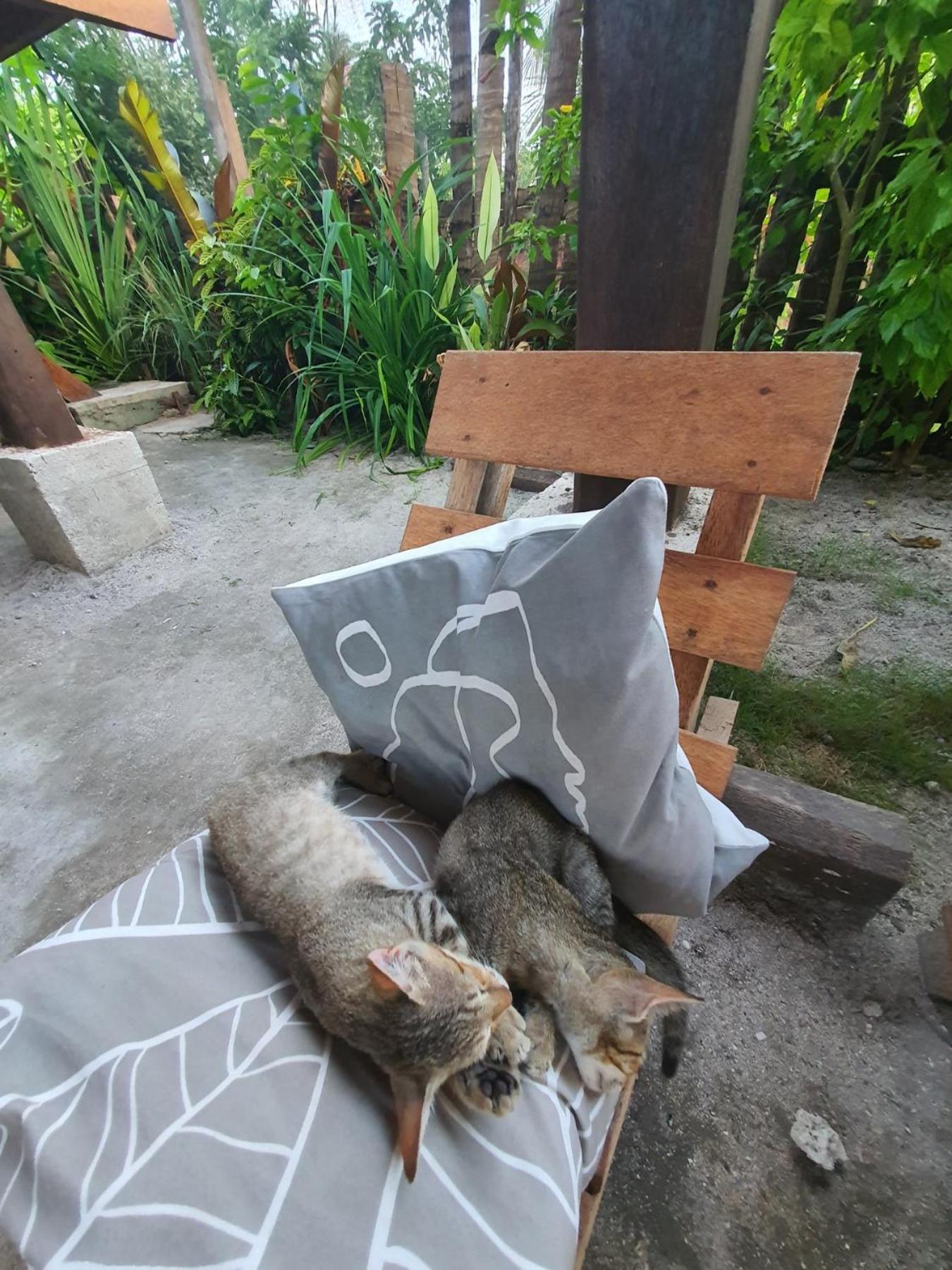 Coleto Siargao Bed and Breakfast San Isidro  Exteriör bild